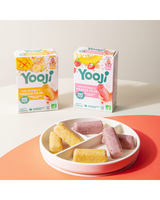 Bâtonnets de fruits à manger-main