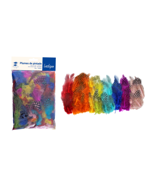 Plumes De Pintade
