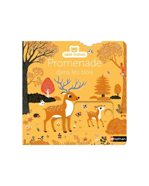 Livre Promenade dans les bois