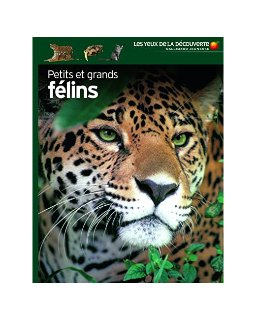 Livre Petits Et Grands Felins