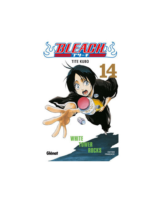 Bleach - Tome 14 - White tower rocks