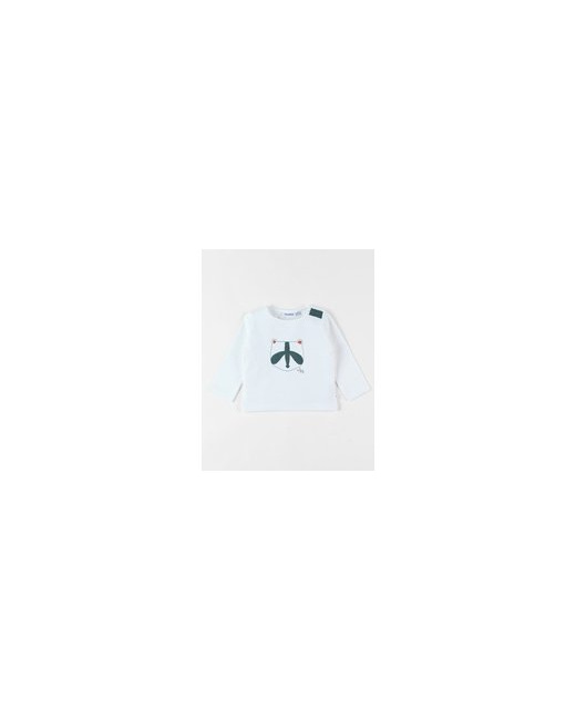 T-shirt raton laveur