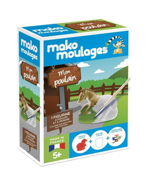 Moulages - Mon poulain