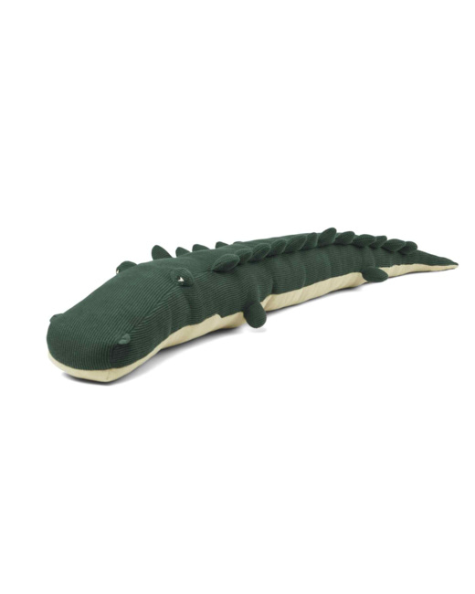 Carlos crocodile garden green