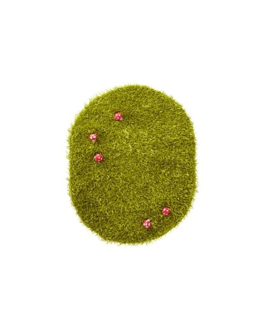 Tapis herbe chambre fille theme coccifleurs 