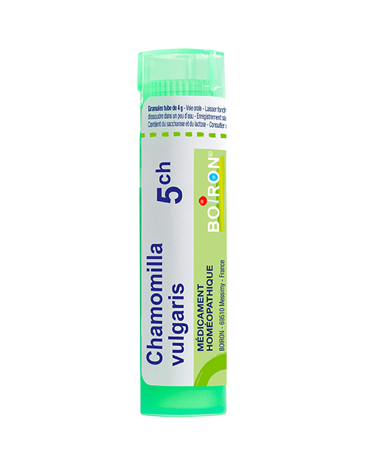 Chamomilla Vulgaris 5CH