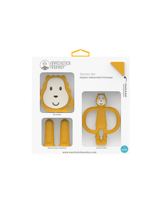 Coffret dentition