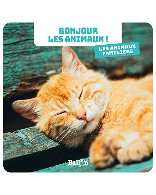 Livre Bonjour les animaux - Les animaux familiers