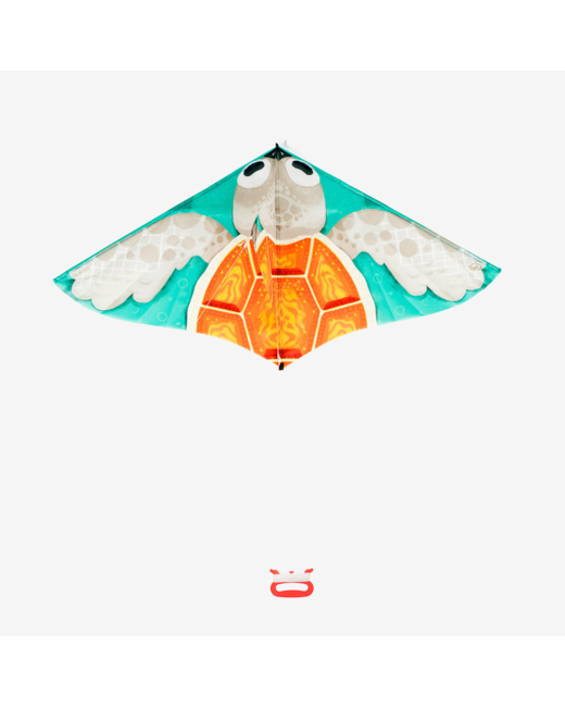 Cerf-volant statique Enfant - MFK 100 Tortue TRIBORD