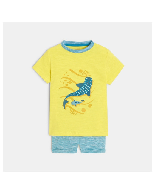 T-shirt requins et short micro-rayures