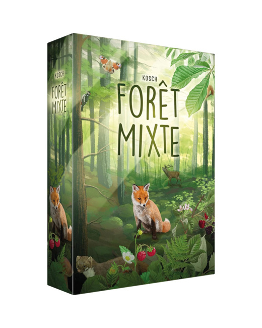 Forêt mixte