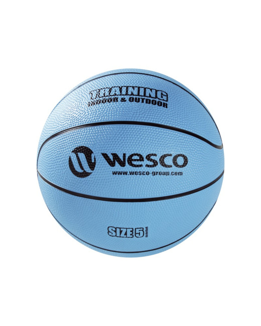 Ballon de basketball training indoor - outdoor