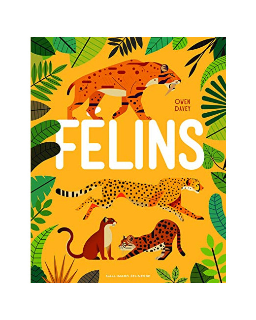 Livre Felins
