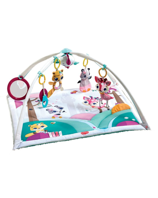 Tapis d'eveil avec arches Princesse