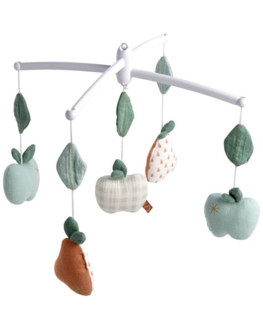Mobile musical Botanica
