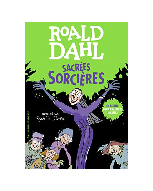 Livre Sacrées Sorcières