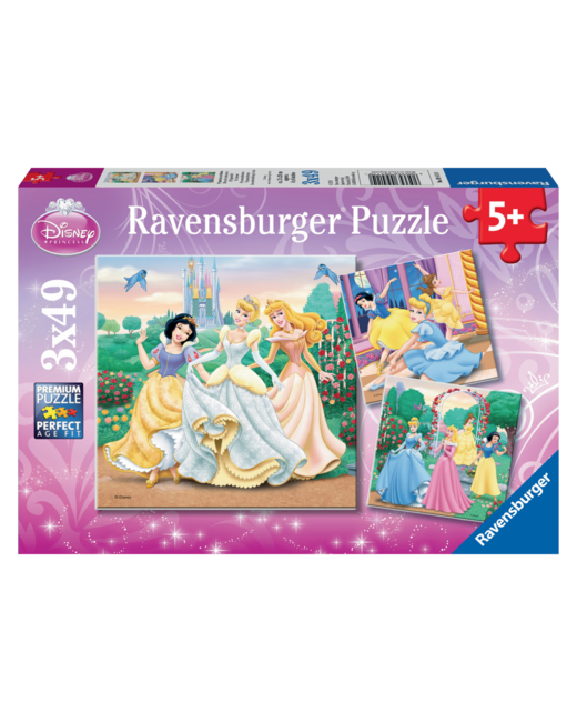 Puzzle - Rêves de princesses - Disney Princesses