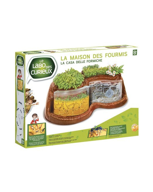Jeu éducatif La maison des fourmis 