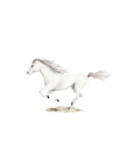 Sticker cheval