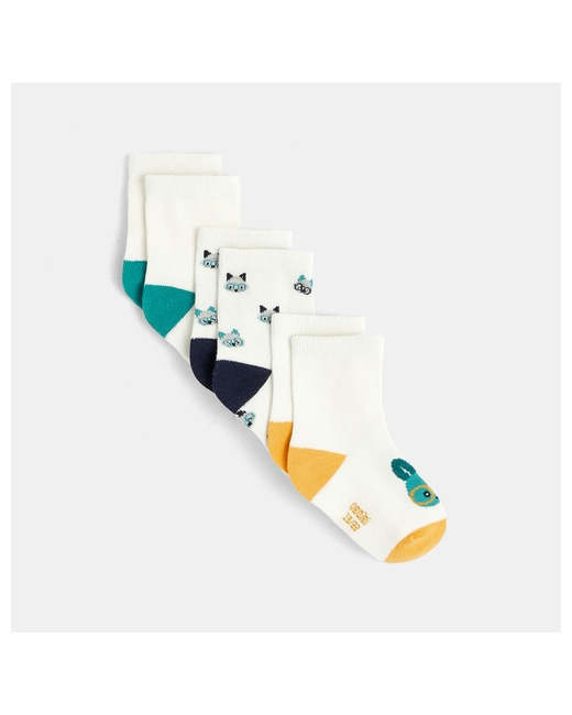Chaussettes animaux (lot de 3)
