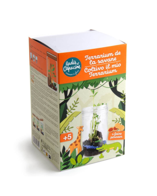 Terrarium de la savane