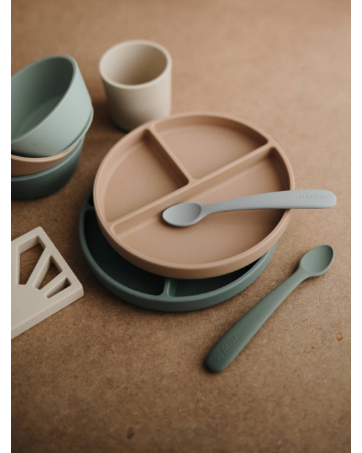 Assiette compartimentée