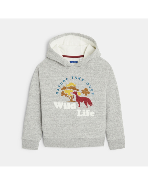 Sweat-shirt à capuche gris garçon