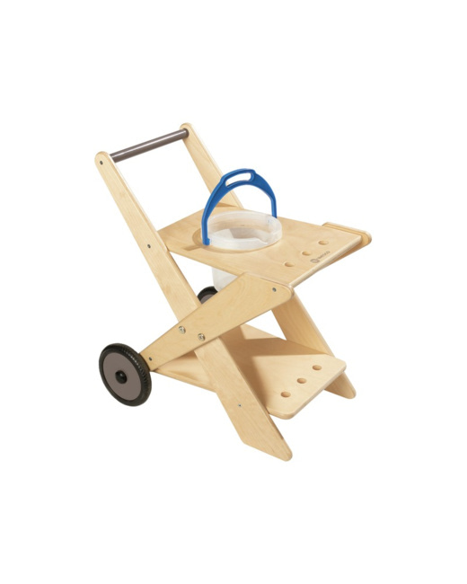 Chariot de ménage