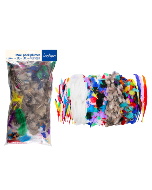 Maxi Pack De Plumes - 1000 Pièces