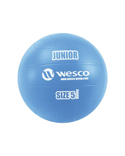 Ballon de volley-ball Junior