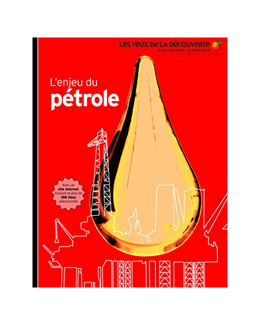 Livre L'Enjeu Du Pétrole