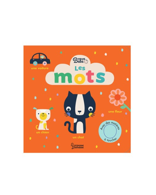 Livre Les mots
