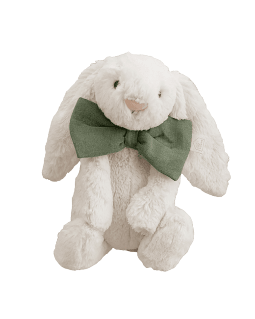 Paulin le Lapin