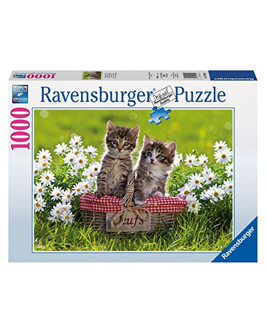 Puzzle - Pique-nique au pré - 1000 pièces