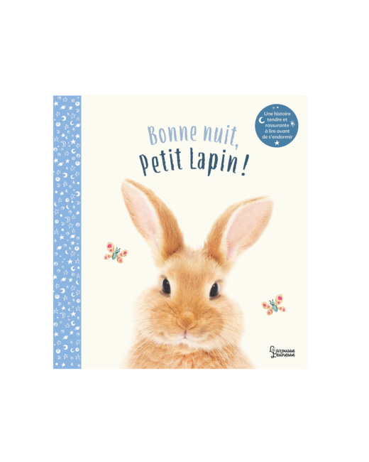 Livre Bonne nuit petit lapin