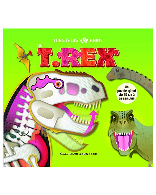 Livre Construis Et Anime Un T. Rex