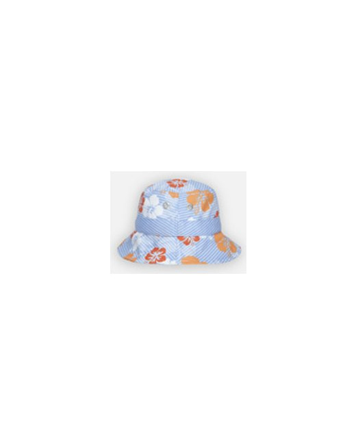 Chapeau Hawaii Archimède
