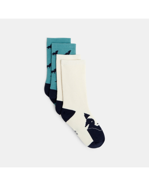 Chaussettes fantaisie (lot de 2) bleues garçon