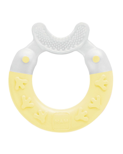 Anneau Dentition Nettoyant