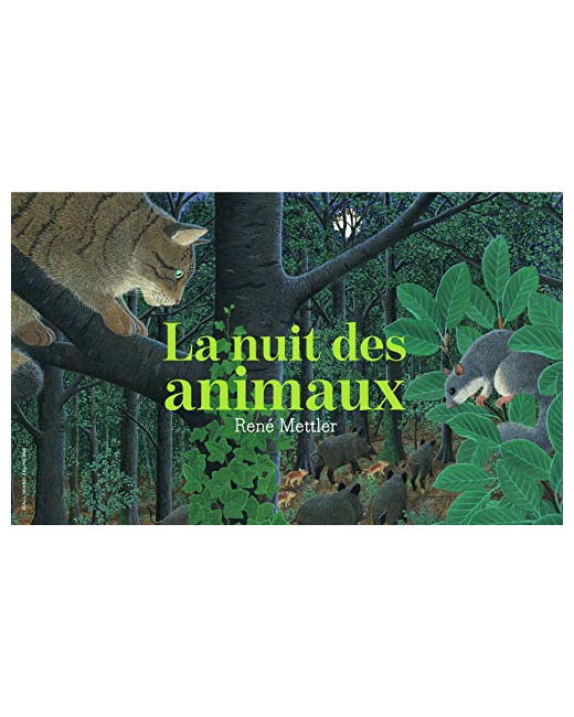 Livre La Nuit Des Animaux