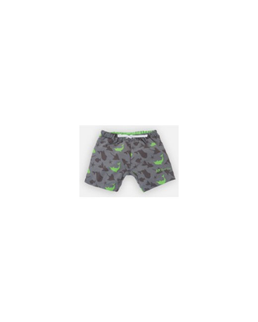 Fish Boxer double protection Archimède