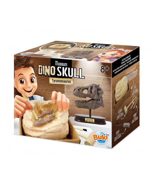 Museum dino skull - t-rex
