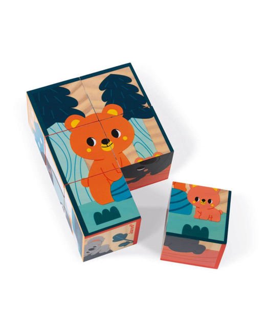 6 cubes en bois Animaux
