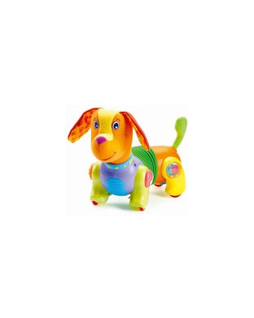 Chien Attrape moi