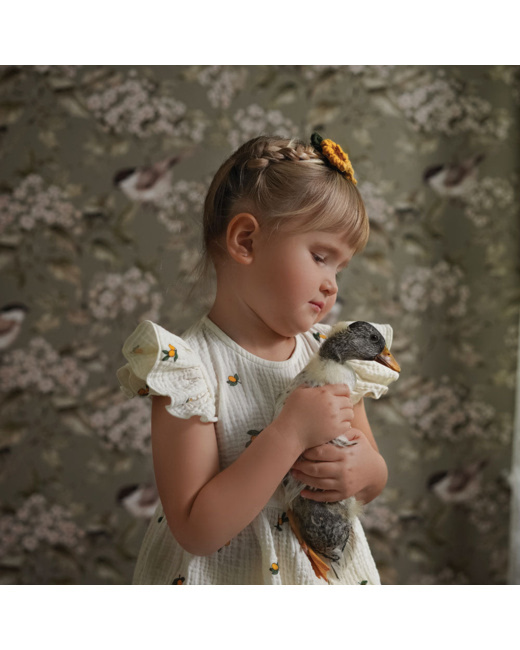 Papier peint enfants oiseaux et printemps