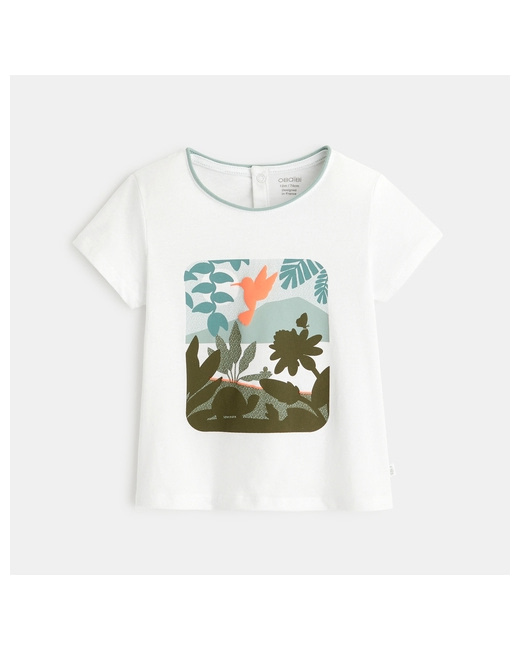 T-shirt colibris