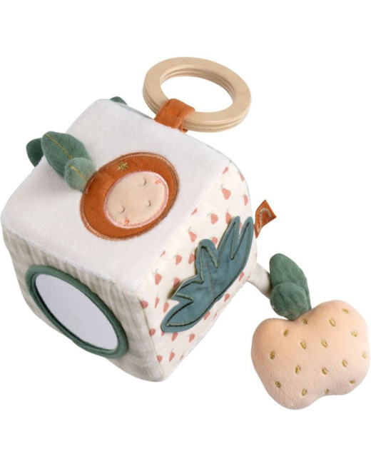 Cube d'activités Botanica