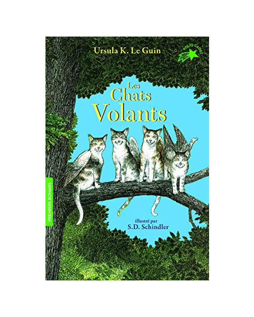 Livre Les Chats Volants