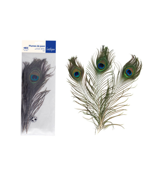 Plumes De Paon