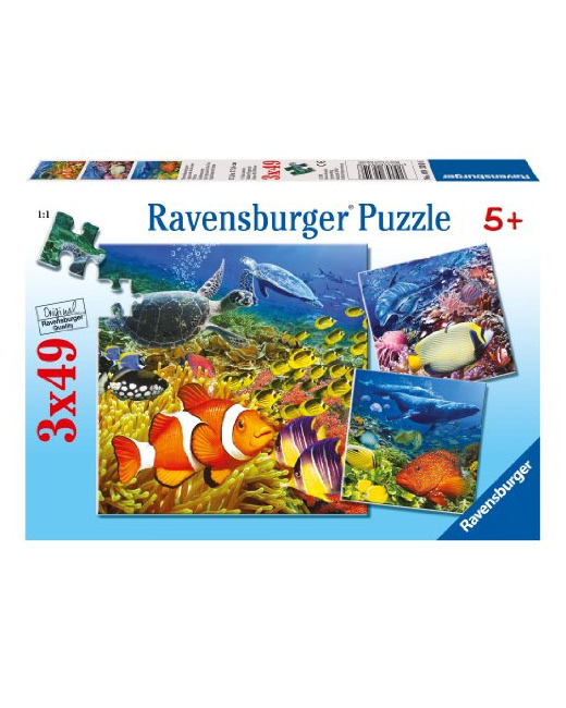 Puzzle - Habitants de la mer - 3x49 pièces